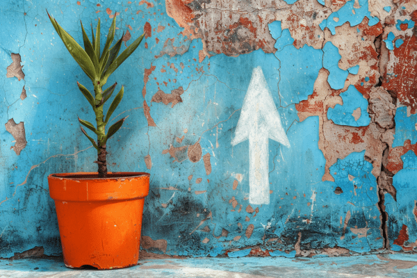 Houseplant in an orange pot against a wall with light blue peeling paint that has an arrow pointed up, which is drawn with chalk 
