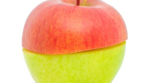 Top half of a red apple sitting on the bottom half of a green apple