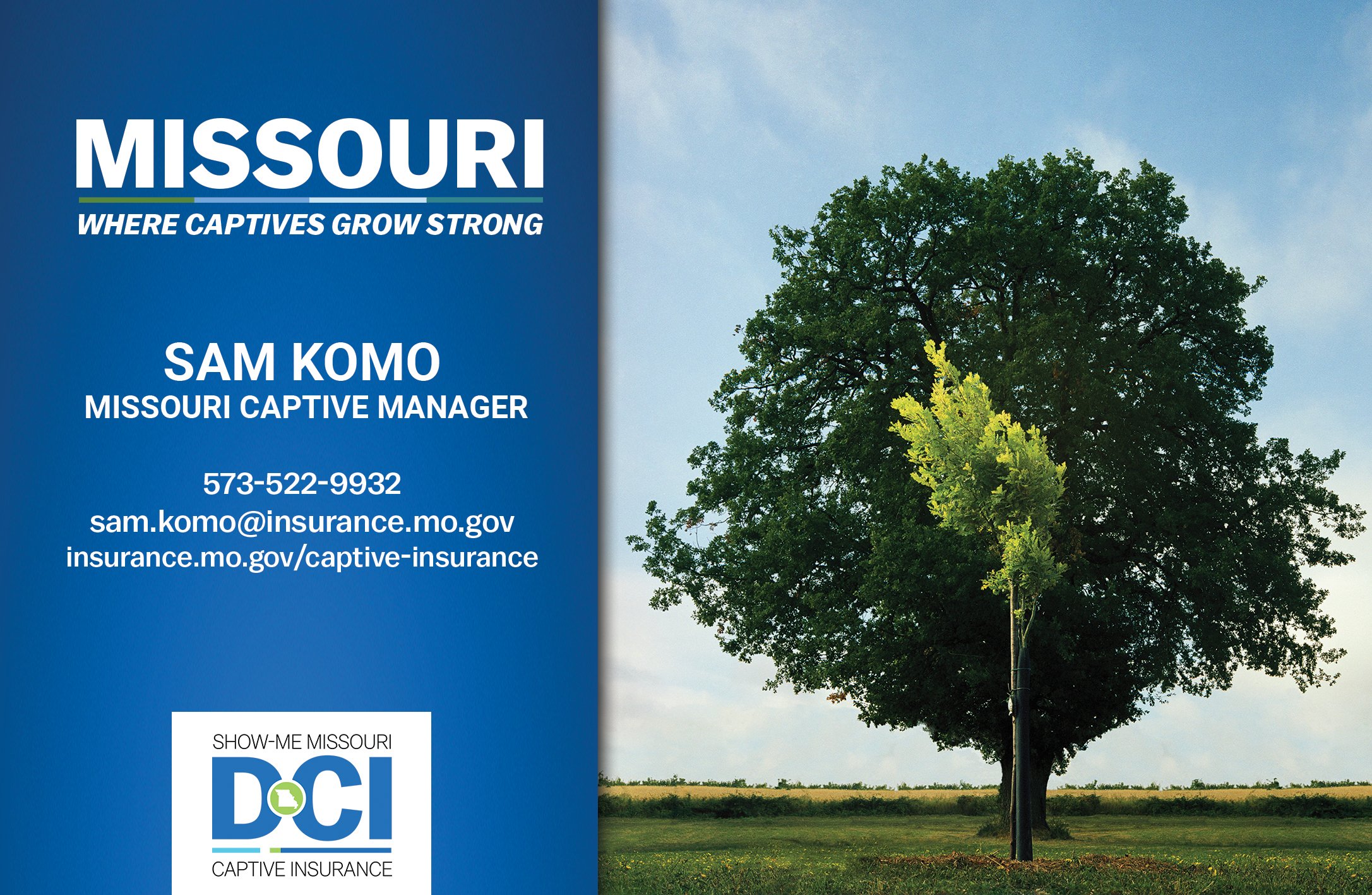 Missouri Department of Commerce and Insurance Captive Insurance Division Logo