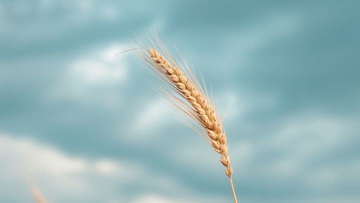 Ag Update: John Talley Talks Captive Insurance Basics