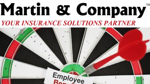 Martin and Company Banner Dartboard