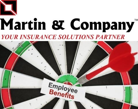Martin and Company Banner Dartboard