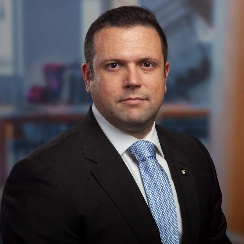 Profile image of Mikhail Raybshteyn