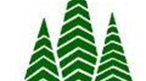 Evergreen logo of green pine trees