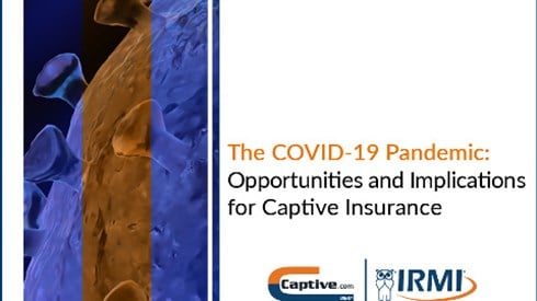 White paper: The COVID-19 Pandemic