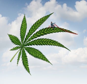 Person Riding Marijuana Leaf Against Cloudy Sky
