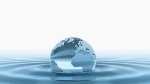 Globe floating in water