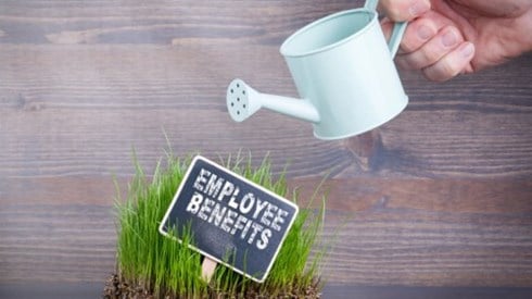Hand watering patch of grass with sign saying Employee Benefits