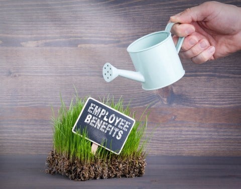 Hand watering patch of grass with sign saying Employee Benefits