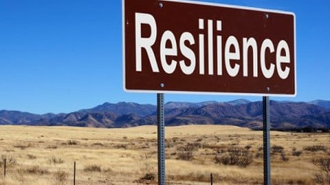 A road sign with the word Resilience with brown grass and mountains in background