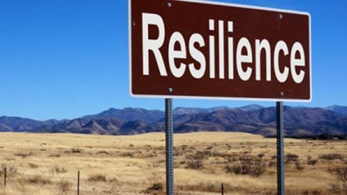 A road sign with the word Resilience with brown grass and mountains in background
