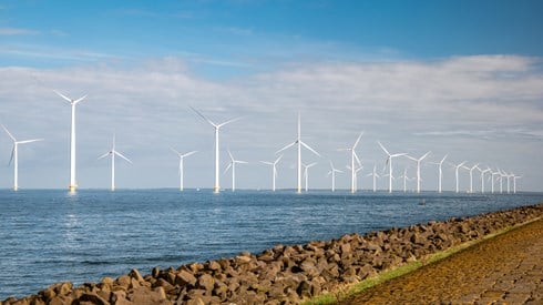Row of offshore wind turbines and sky in distance with water, windbreak, and beach in foreground