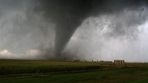 Tornado touching down in a corn field with a different green crop field showing in the foreground