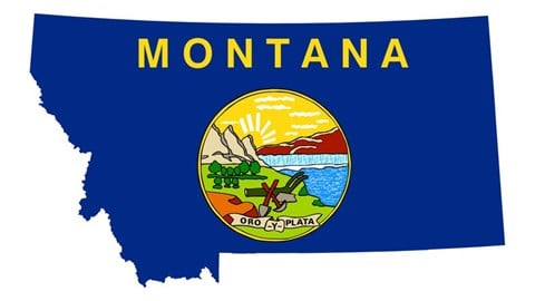 A map of Montana colored in with its state flag