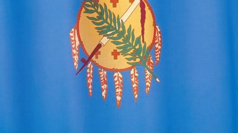 The Oklahoma state flag with light blue material, a dream catcher yellow and orange with feathers and a green branch across it