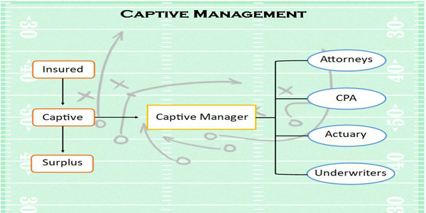 Captive Management game plan