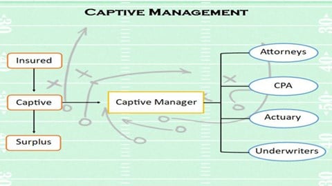 Captive Management game plan