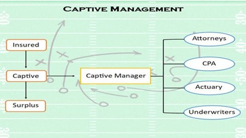 Captive Management game plan