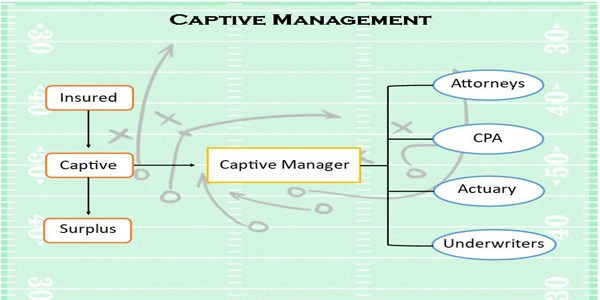 Captive Management game plan