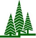 Evergreen logo of green pine trees