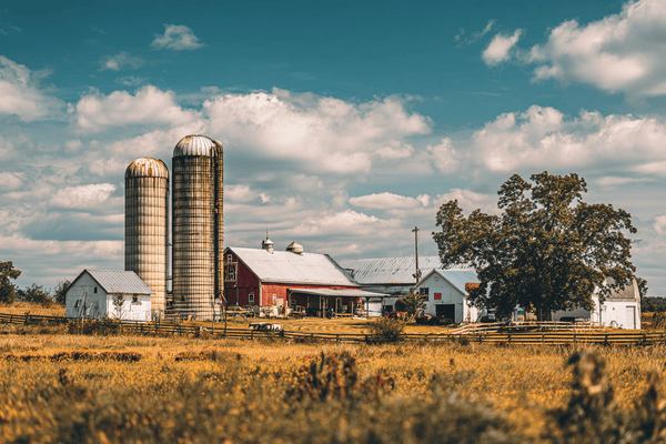 A view of a farm from across a field