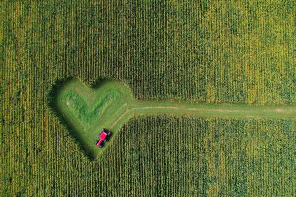 red tractor plowing a heart shape through a cornfield