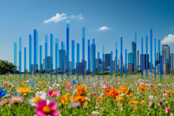 blue bar chart superimposed over a field of flowers and city skyline