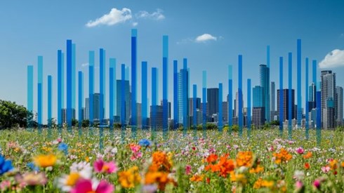 blue bar chart superimposed over a field of flowers and city skyline