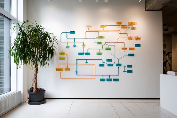 multi-colored flow chart on a white wall in a professional office next to a tall green plant
