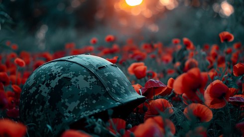 A camouflage army helmet resting in a field of poppies at sunset.