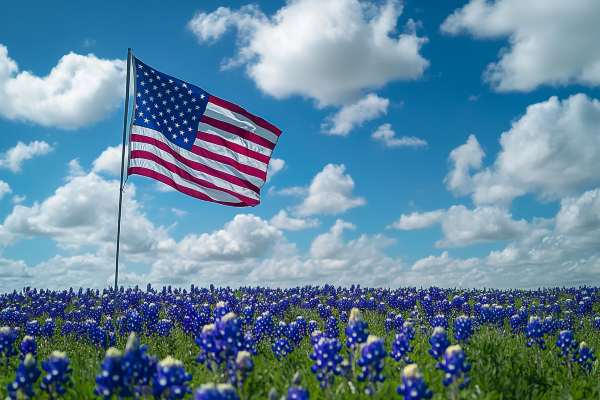 American Flag on a pole in a field of bluebonnets under a blue, puffy cloud sky