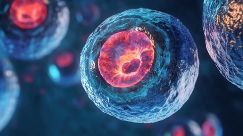 Closeup of a human cell