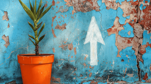 Houseplant in an orange pot against a wall with light blue peeling paint that has an arrow pointed up, which is drawn with chalk