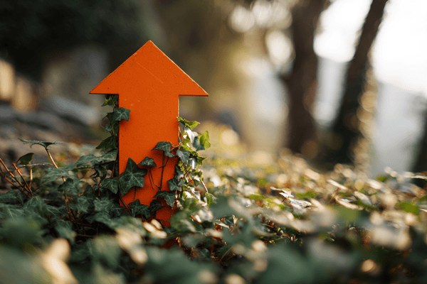 Ivy growing around an orange arrow on the ground pointing up
