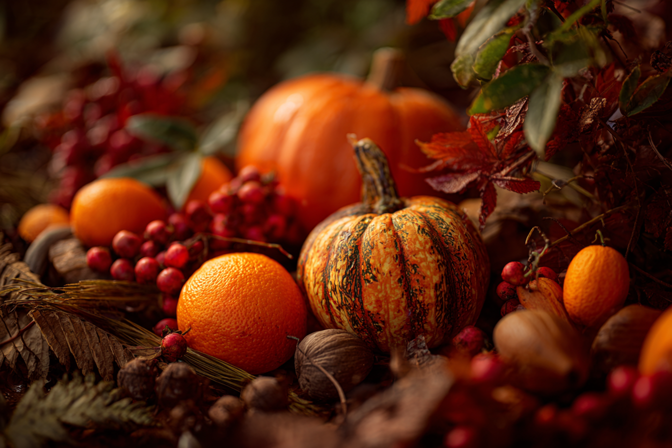 pile of fall gourds, pumpkins, oranges, and berries