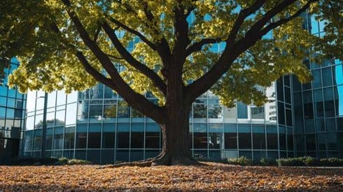 A large tree growing in front of an office building