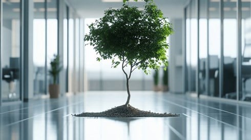 A tree growing out of the floor of a hallway in an office