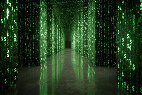 hallway and walls made from tiny green digital dollar signs