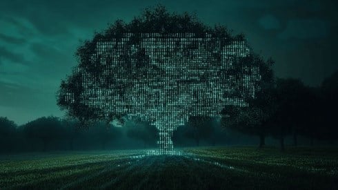 A tree made out of binary code in a field at night