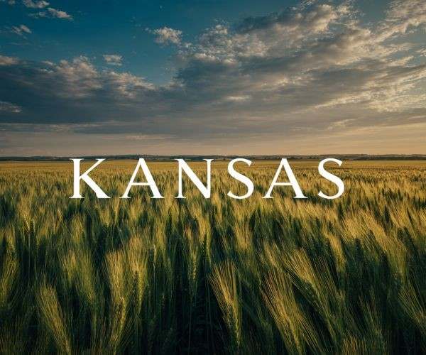 the word "KANSAS" superimposed over a landscape view of a green wheatfield on a semi-cloudy day