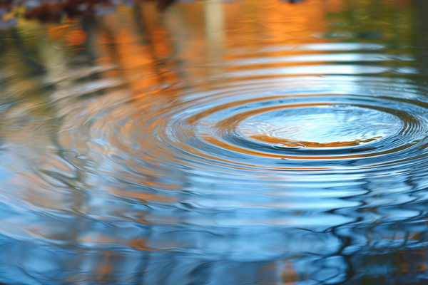 Ripples moving out in a circular pattern on the surface of a pond