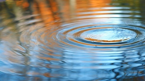 Ripples moving out in a circular pattern on the surface of a pond