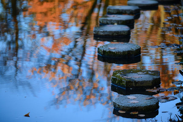 Stepping stones across a tranquil pond.