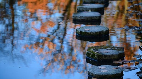 Stepping stones across a tranquil pond.