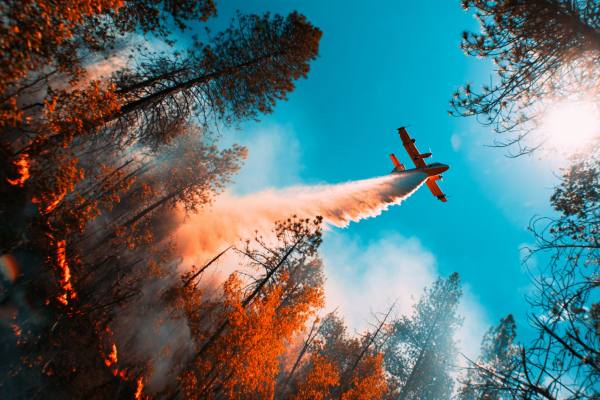 ground view of a water plane dropping water onto orange flames rising from a forest fire