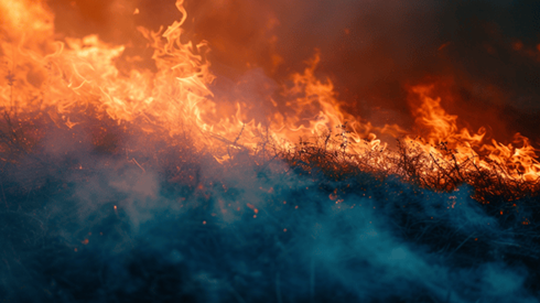 Grass on fire