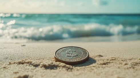 coin with a dollar sign on a beach