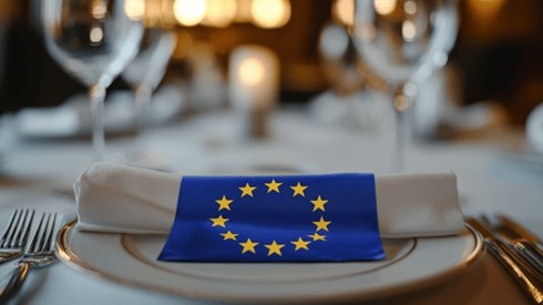 The European Union flag on a dinner plate at a fancy restaurant