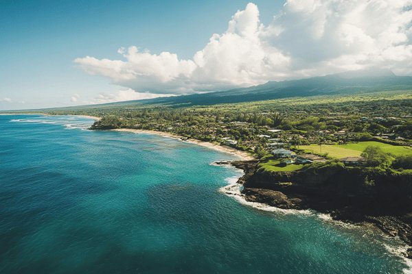 Houses dotting the coastline of Hawaii