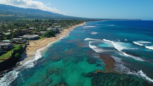 beach coastline of Hawaii